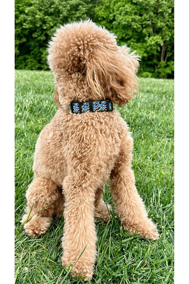 طوق منقوش باللون الأسود - 3