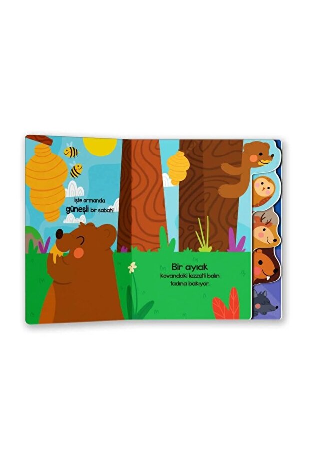 Ormanda Neler Oluyor? - 3