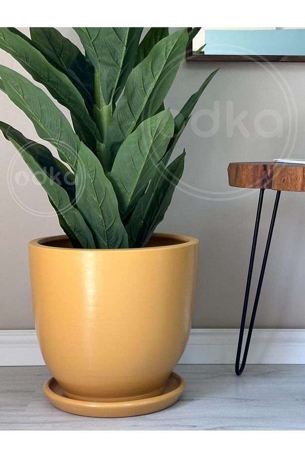 10litre Saksı Tabaklı Çap: 25cmx Yükseklik: 23cm Sarı - 1