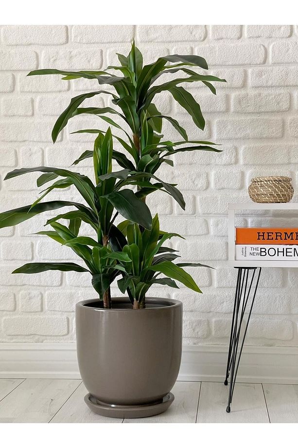 10litre Saksı Tabaklı Çap: 25cmx Yükseklik: 23cm Vizon Renk - 3