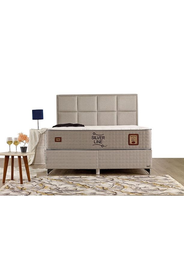 Silver Line Baza Tek Kişilik 100x200 Cm (YATAK VE BAŞLIK FİYATA DAHİL DEĞİLDİR) - 2