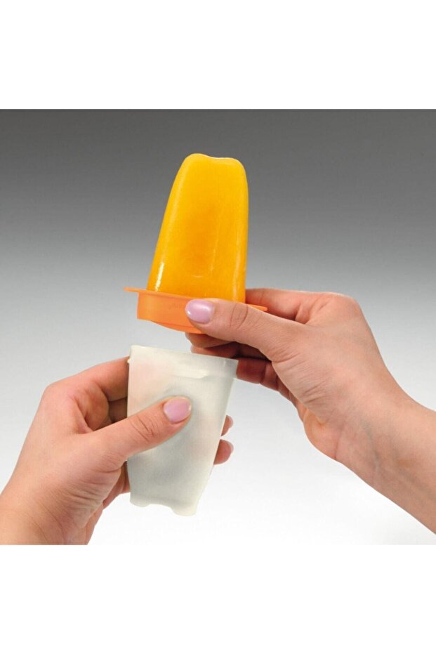 Lolibuz Dondurma Kalıbı 6'lı - 2