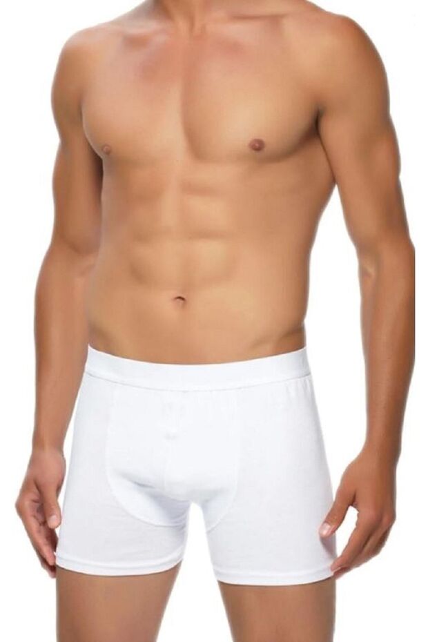 3'lü Erkek Boxser - 1