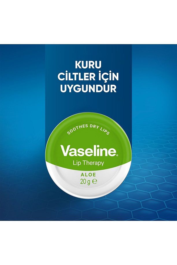 Dudak Kremi Lip Therapy Aloe Vera 20 gr - 5