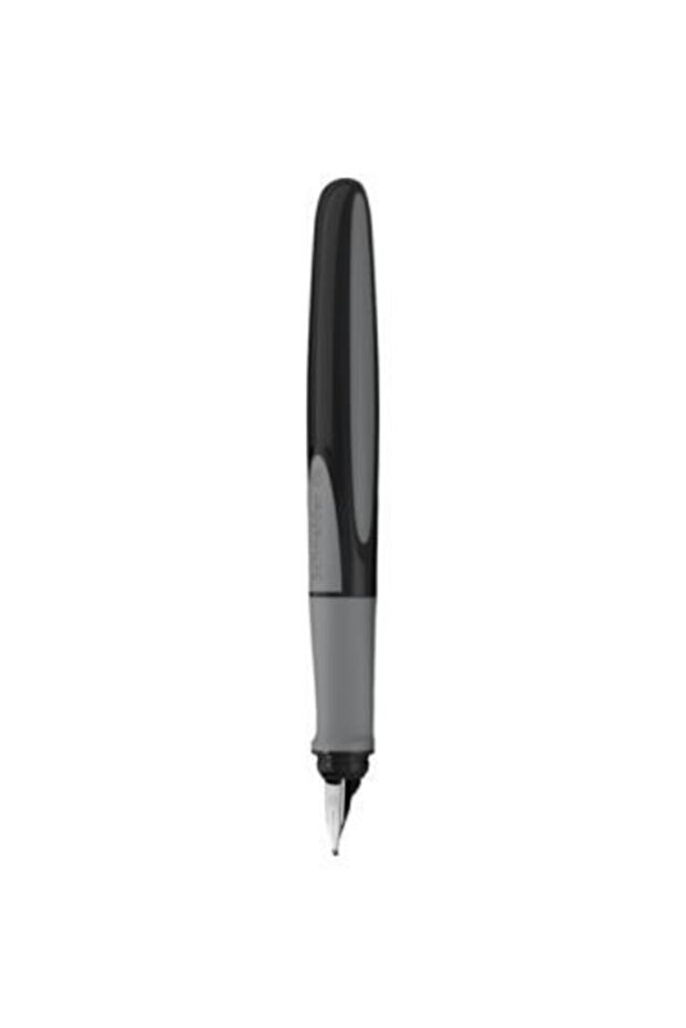 Ray pen (type M - medium) - onyx body - 1