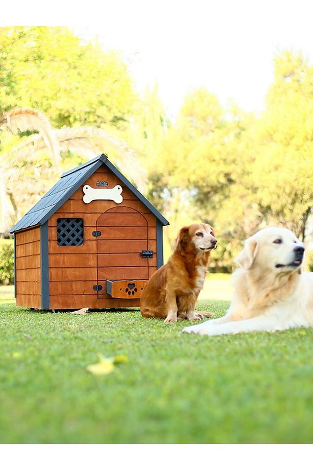 Isı Yalıtımlı Ahşap Köpek Kulübesi Large - 4