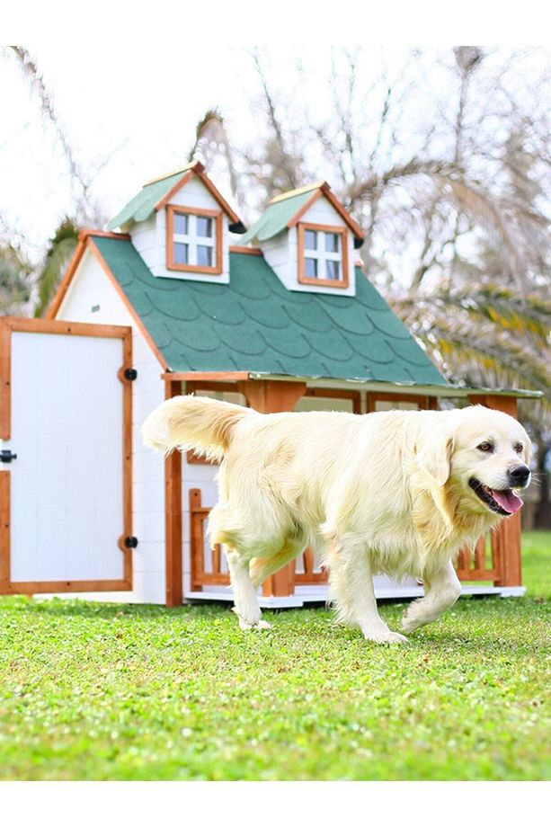 Ultra Lüks Ahşap Köpek Kulübesi (EVİ) - 2
