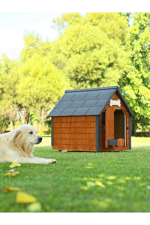Isı Yalıtımlı Ahşap Köpek Kulübesi Large - 3