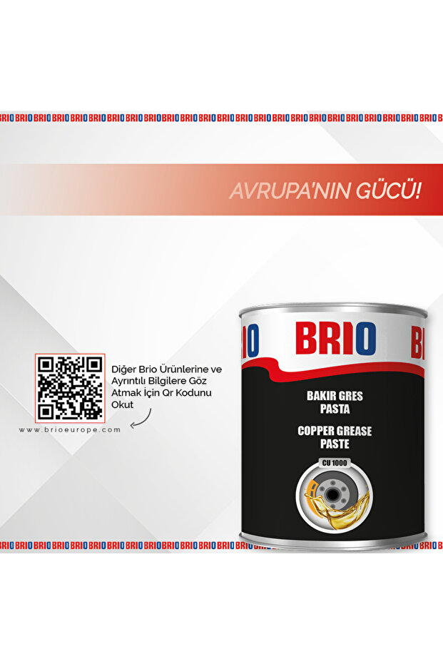 Bakır Gres Pasta 1000°c 1 L - 900 gr - 5