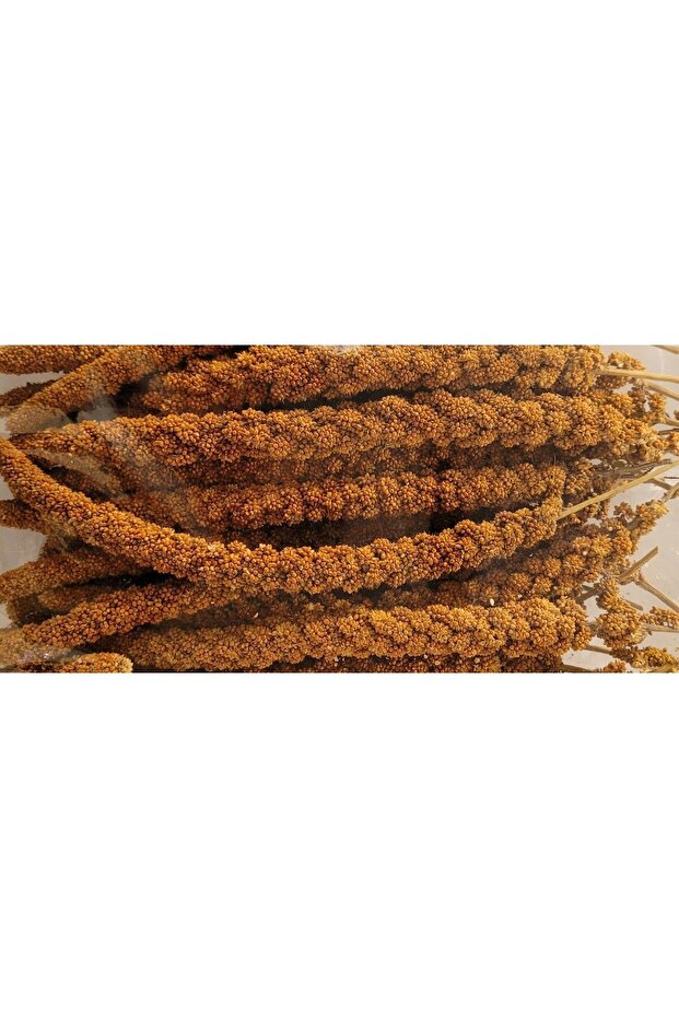 Kızıl Dal Darı 500 gr