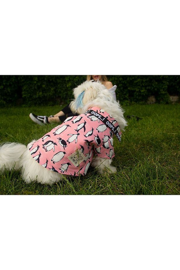 PENGUEN DESENLİ, PEMBE Köpek gömleği - 3