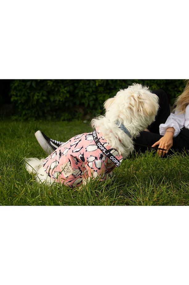 PENGUEN DESENLİ, PEMBE Köpek gömleği - 4
