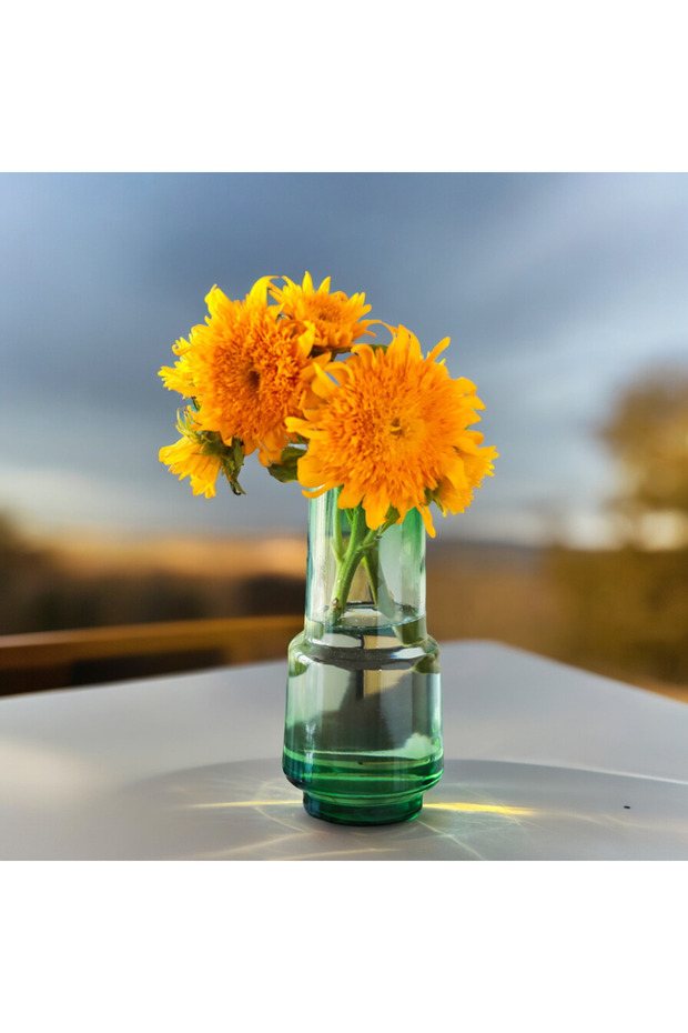 Yeşil Simple Cam Vazo - 5