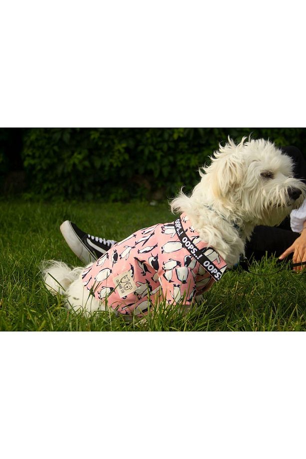 PENGUEN DESENLİ, PEMBE Köpek gömleği - 5