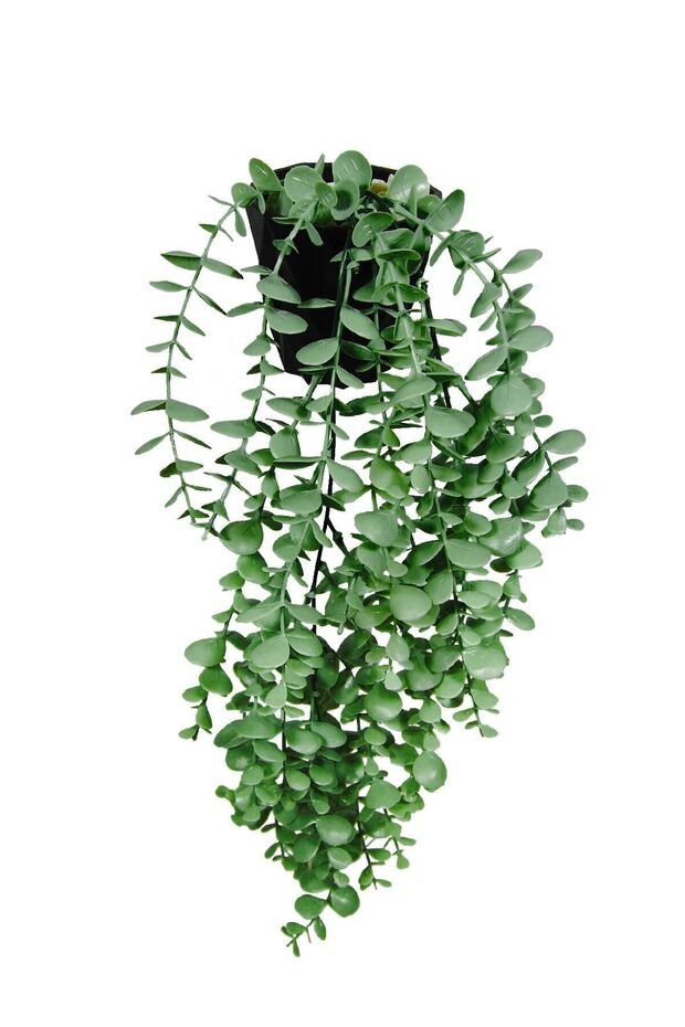 Artificial Flower Moblen Mica Diamond Green Eucalyptus Pendant in Black Pot