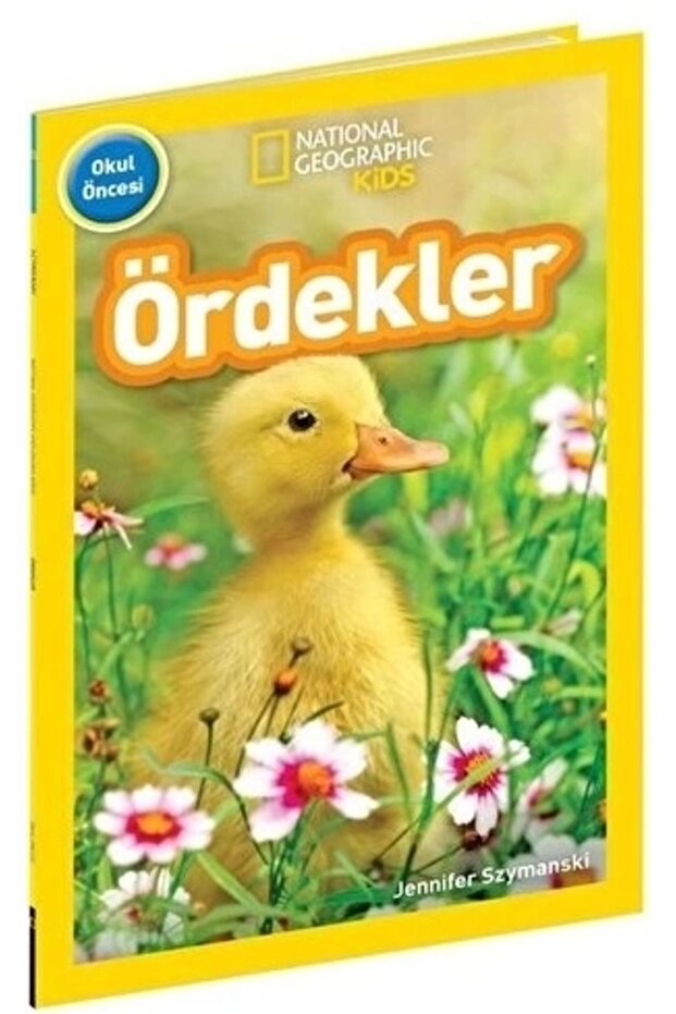 Ördekler
