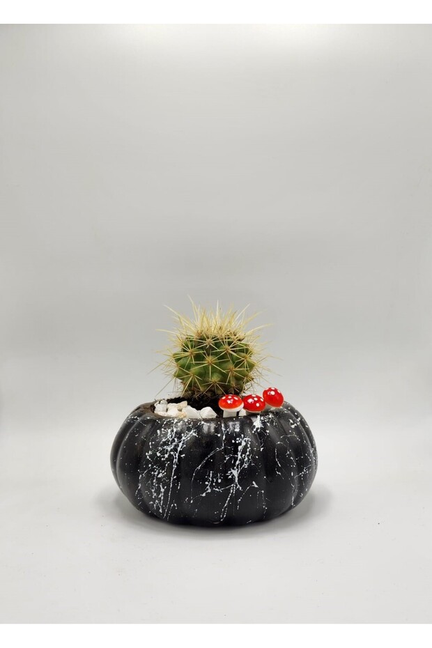 Balkabağı Saksı - 1