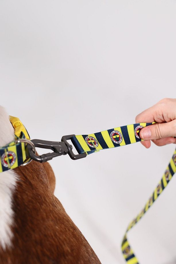 Fenerbahçe Lisanslı Köpek Gezdirme Kayışı, Gezdirme Kayışı, Çubuklu - 4
