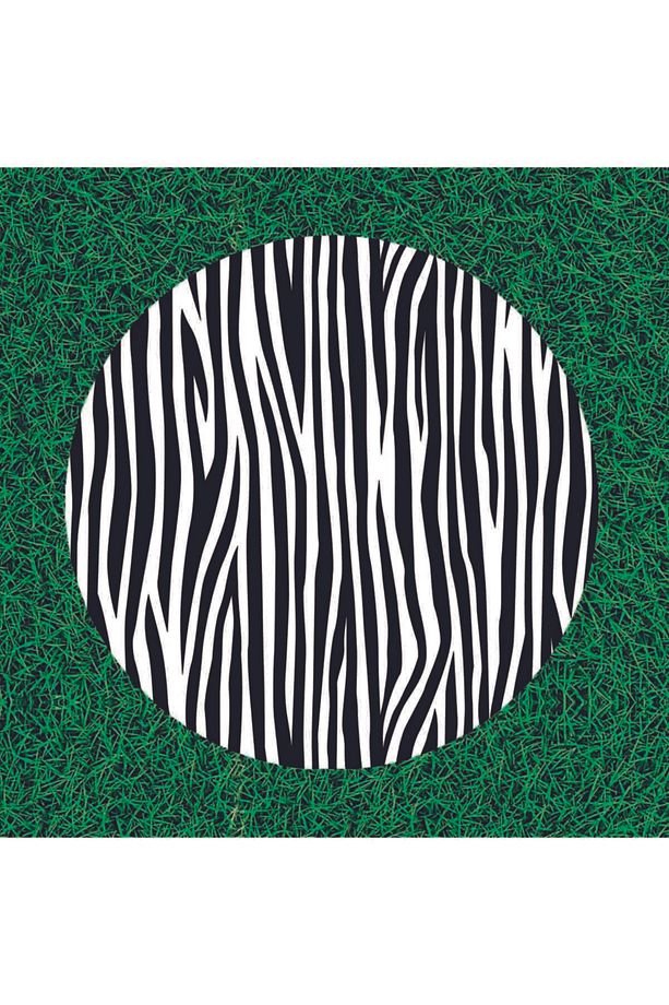 Yıkanabilir Yuvarlak Piknik Örtüsü Zebra Desenli - 2