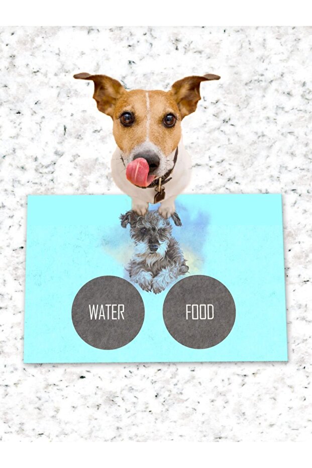 Turquoise Dog Cat Food and Training Mat