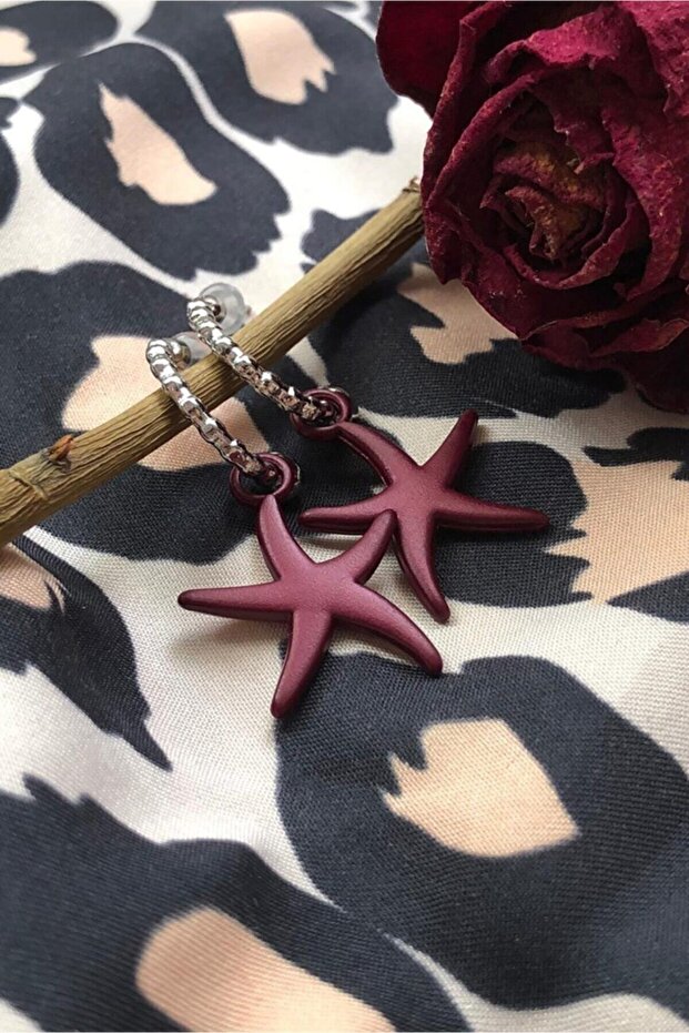 Matte Burgundy Color Antiallergic Star Earrings