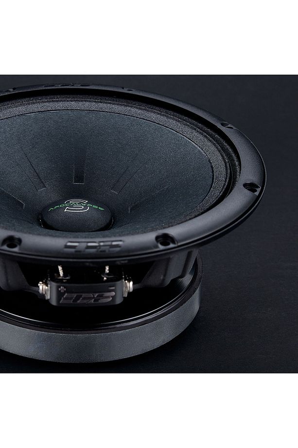 Apocalypse 16cm Midrange AP-M61SE Sylvester - 5