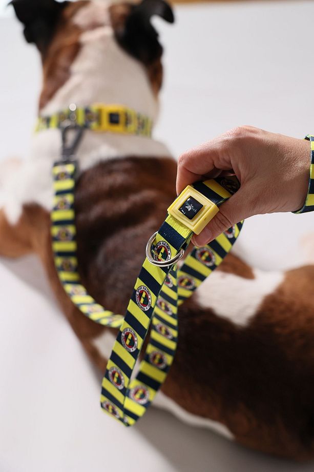 Fenerbahçe Lisanslı Köpek Gezdirme Kayışı, Gezdirme Kayışı, Çubuklu - 1