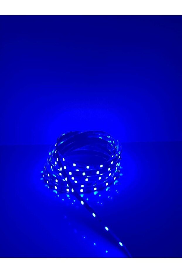 Şerit Led Yüksek Lümen ( 5 Metre ) Mavi - 1
