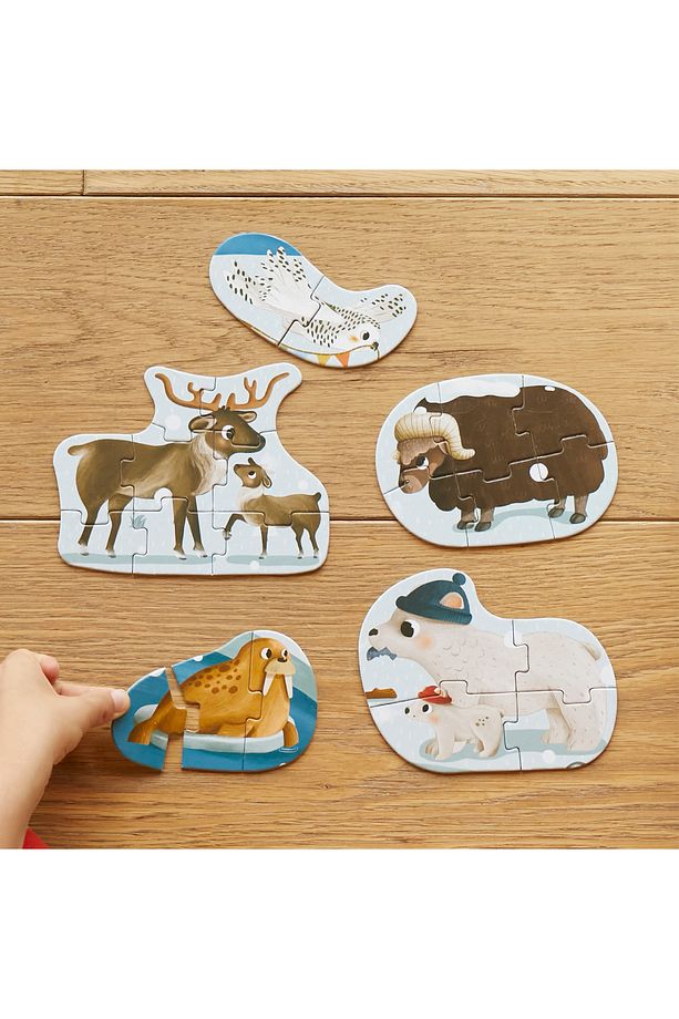 A Day in Arctic: 6 in 1 Puzzle ile Kuzey Kutbunu Keşfet 23 Parça - 3