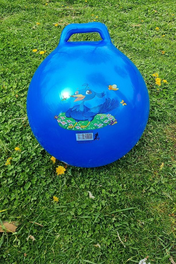 Zıp Zıp Kanguru Zıplama Plates Topu Çocuk Plates Topu 100 Cm Çap 40 Cm Yüksek - 1