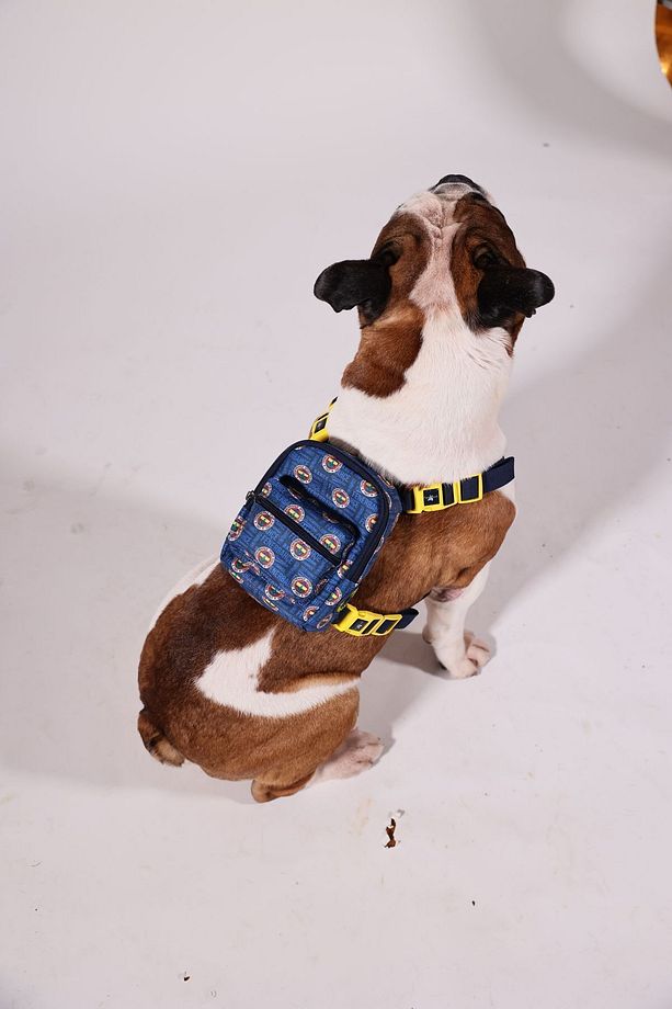 , Fenerbahçe Lisanslı, Köpek Goğüs Tasması, Çantalı Köpek Tasması, Köpek Tasması - 7