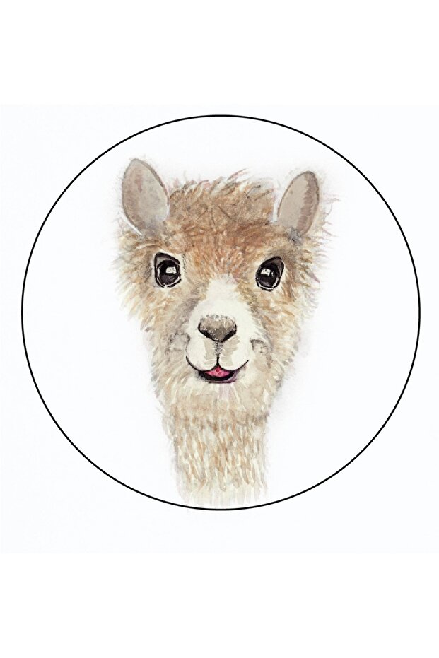 أجو باتش - لاما الأبجدية - 1