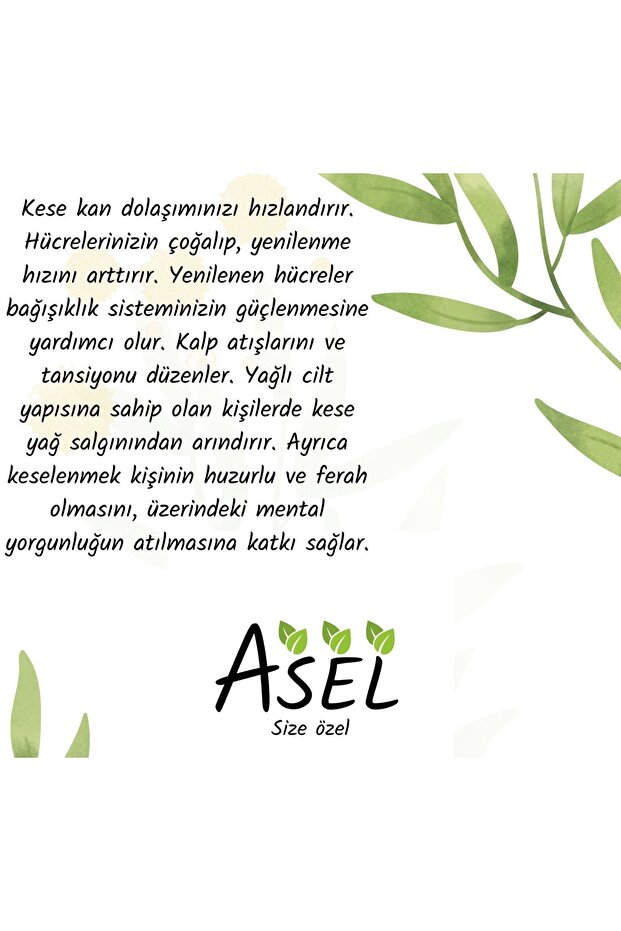 حمام وحقيبة حمام - 2