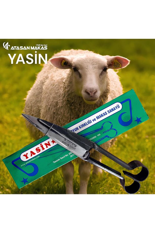 Yasin Koyun, Kırpma, Yün, Makası, Çok Keskin, Kullanışlı, El Yapımı, Yerli Üretim - 1