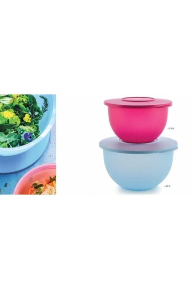 Eko Saklama Kabı 2,5lt-4,3lt Pembe Mavi - 3