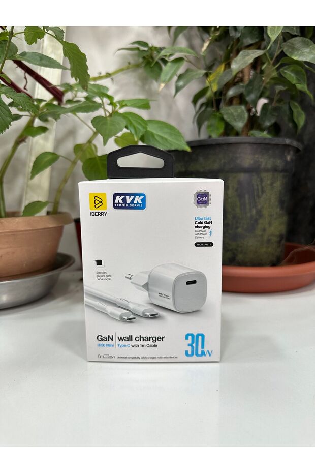 IBERRY 30W Type C - 1