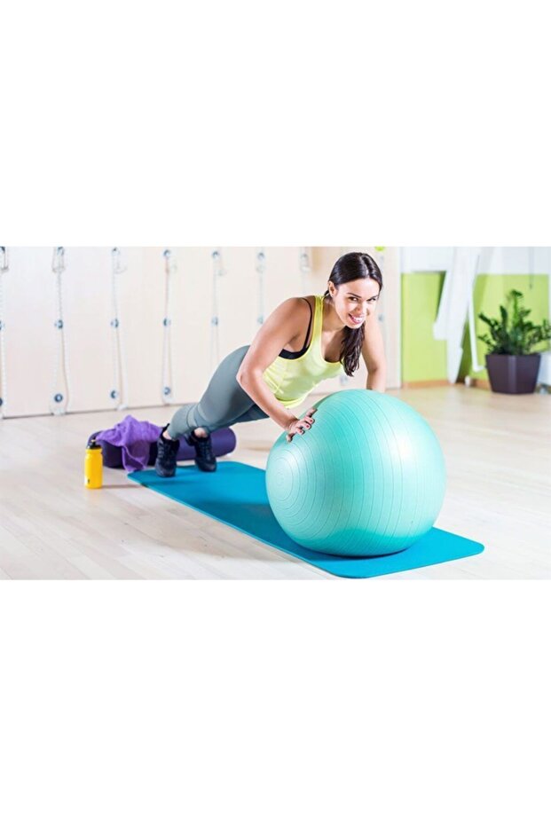 Pilates Topu Ev Tipi (65cm) - 8