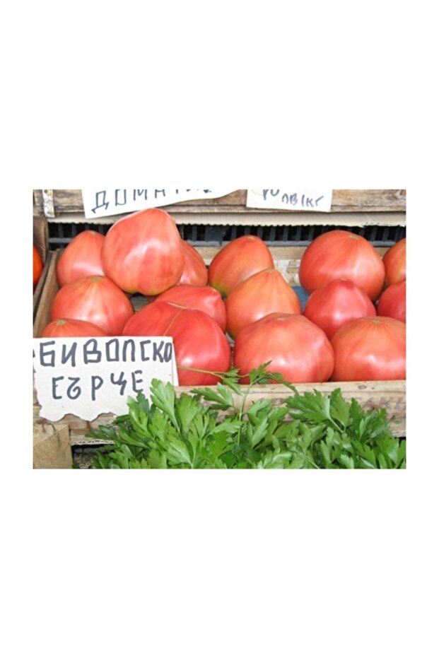 Pembe Dev Bulgar Domatesi - 2