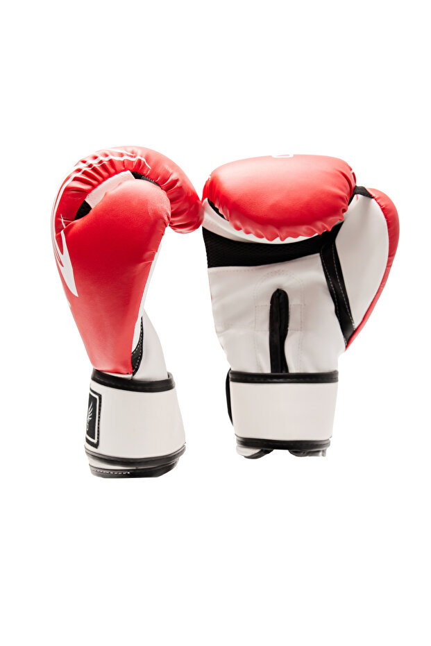 قفازات الملاكمة - 2