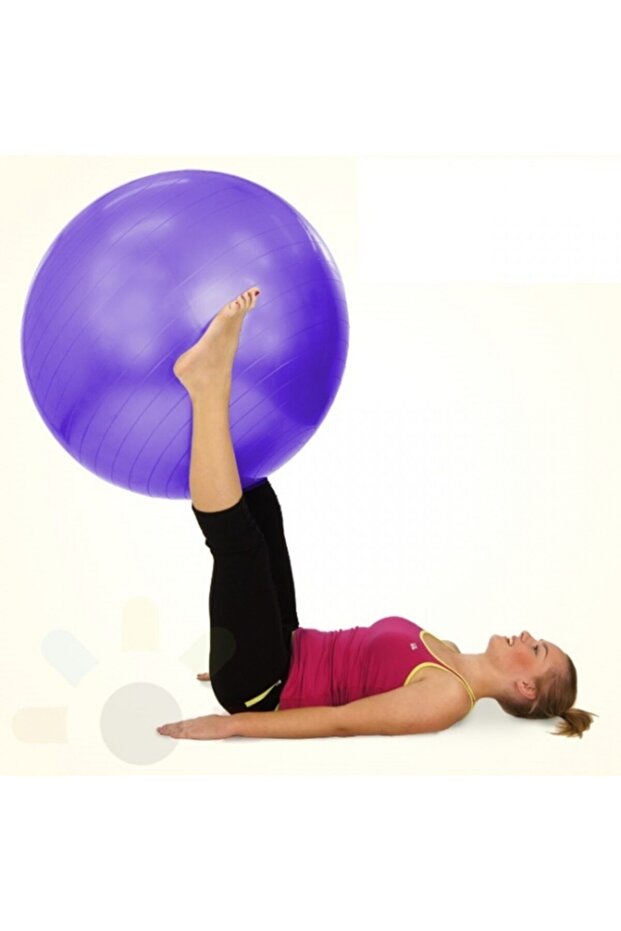 Pilates Topu Ev Tipi (65cm) - 7