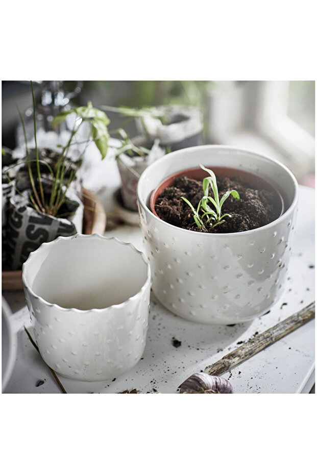 SESAMFRÖN seramik saksı 12cm - 2