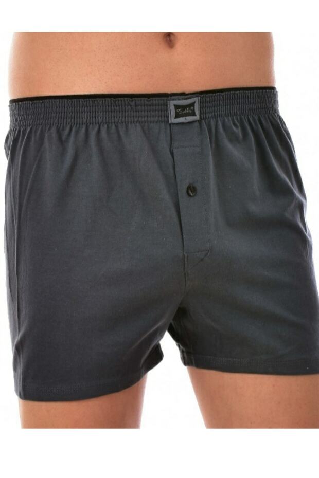 Erkek Boxer - 1