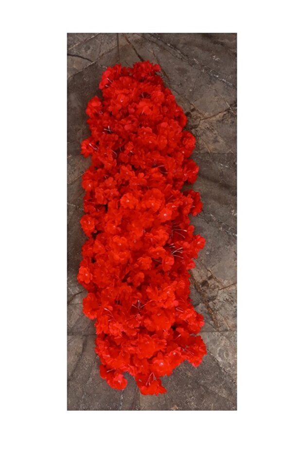 Bahardali tag çiçeği - 1