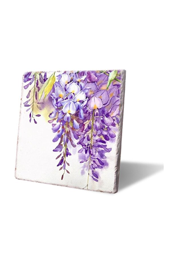 Mor Sümbül Nihale - 1