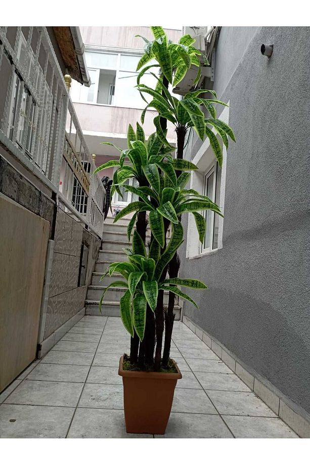 Yukka Dracenea palmiye 195 cm 90 yaprak Büyük Boy Ev ve Ofis için yapay ağaç - 4