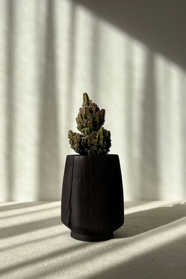 Ahşap Kaktüs Saksısı - 2