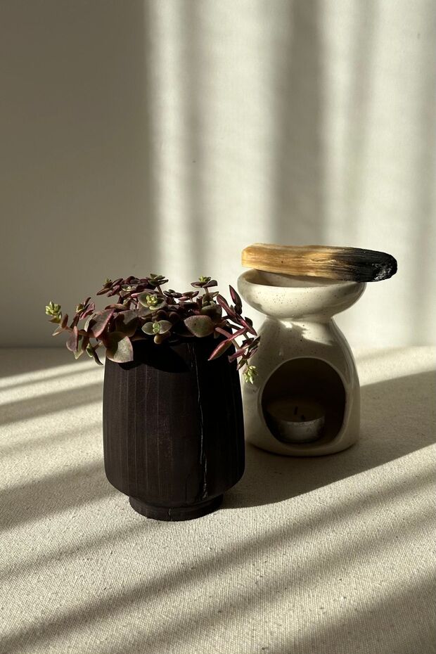 Ahşap Kaktüs Saksısı - 4