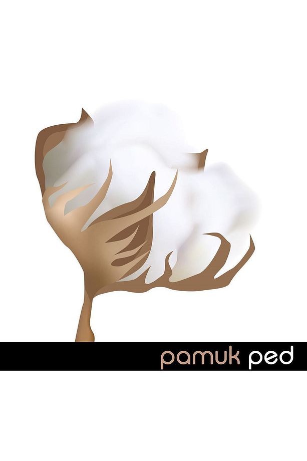Ladyfit Pamuk Ped Süper Gece 18 Adet + Günlük Ped Süper Normal 40 Adet - 3