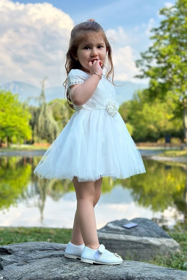 Baby Girl Dress Girls' Dress Birthday Party Wedding Dress Lace Short Sleeve Lined Dress