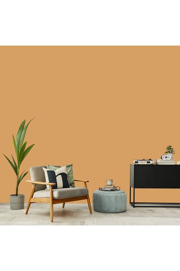 Warm Yellow - Sarı Duvar Boyası - 2